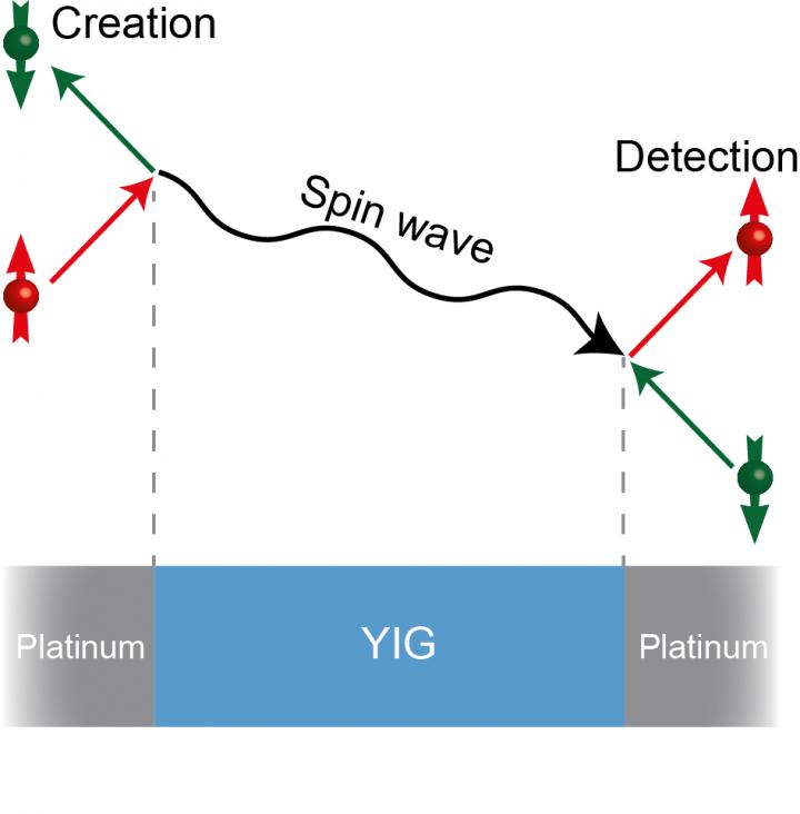 Schematic Representation of the Experiment
