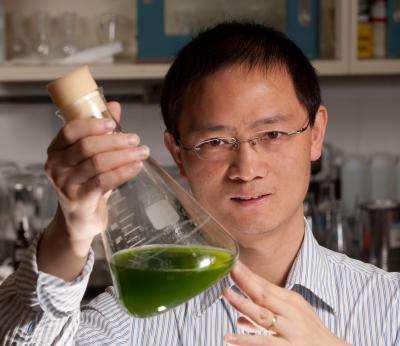 Wayne Yuan, Kansas State University