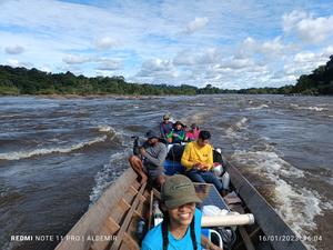 Amazon Tributary