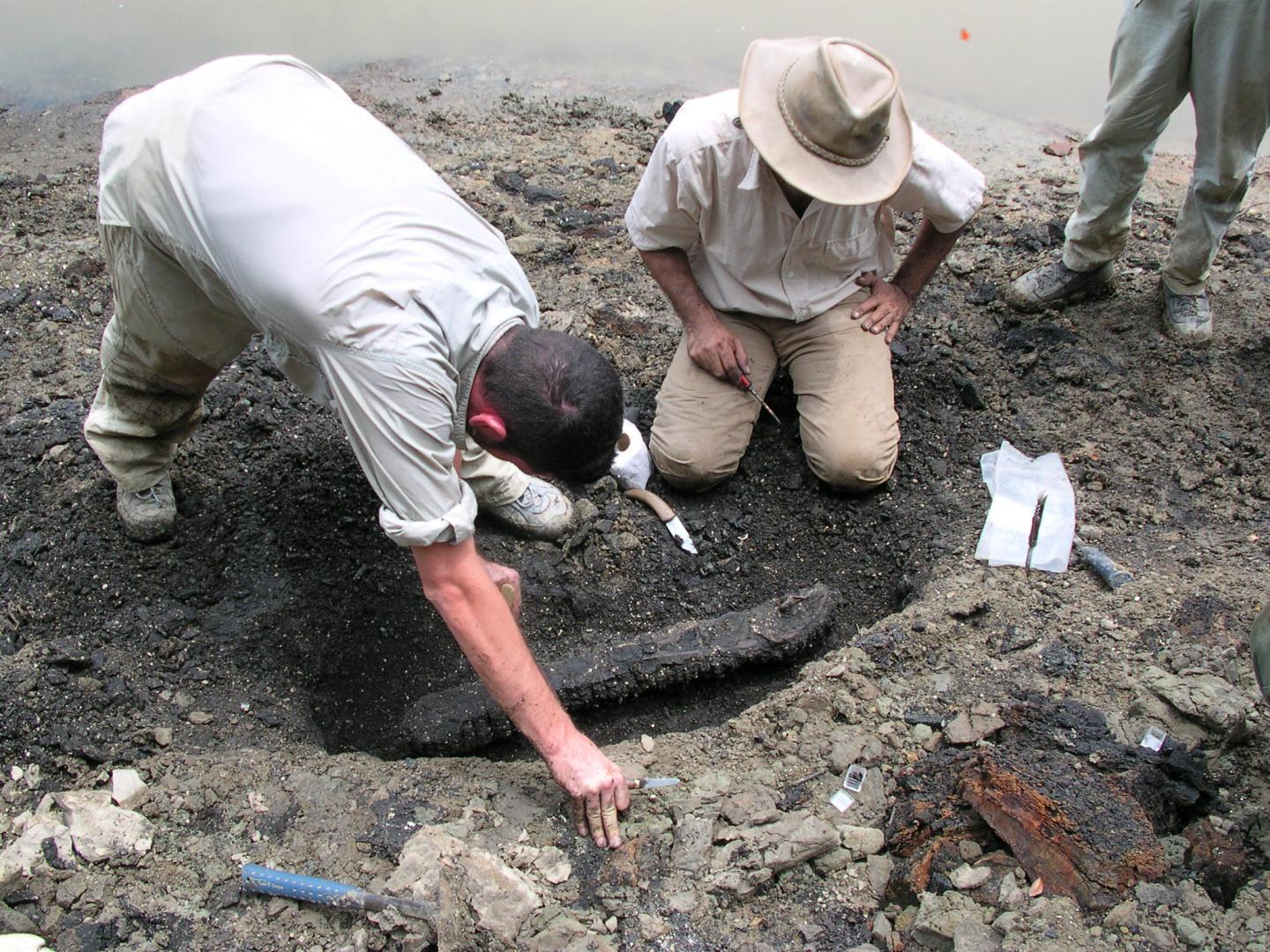 Excavating Mandible