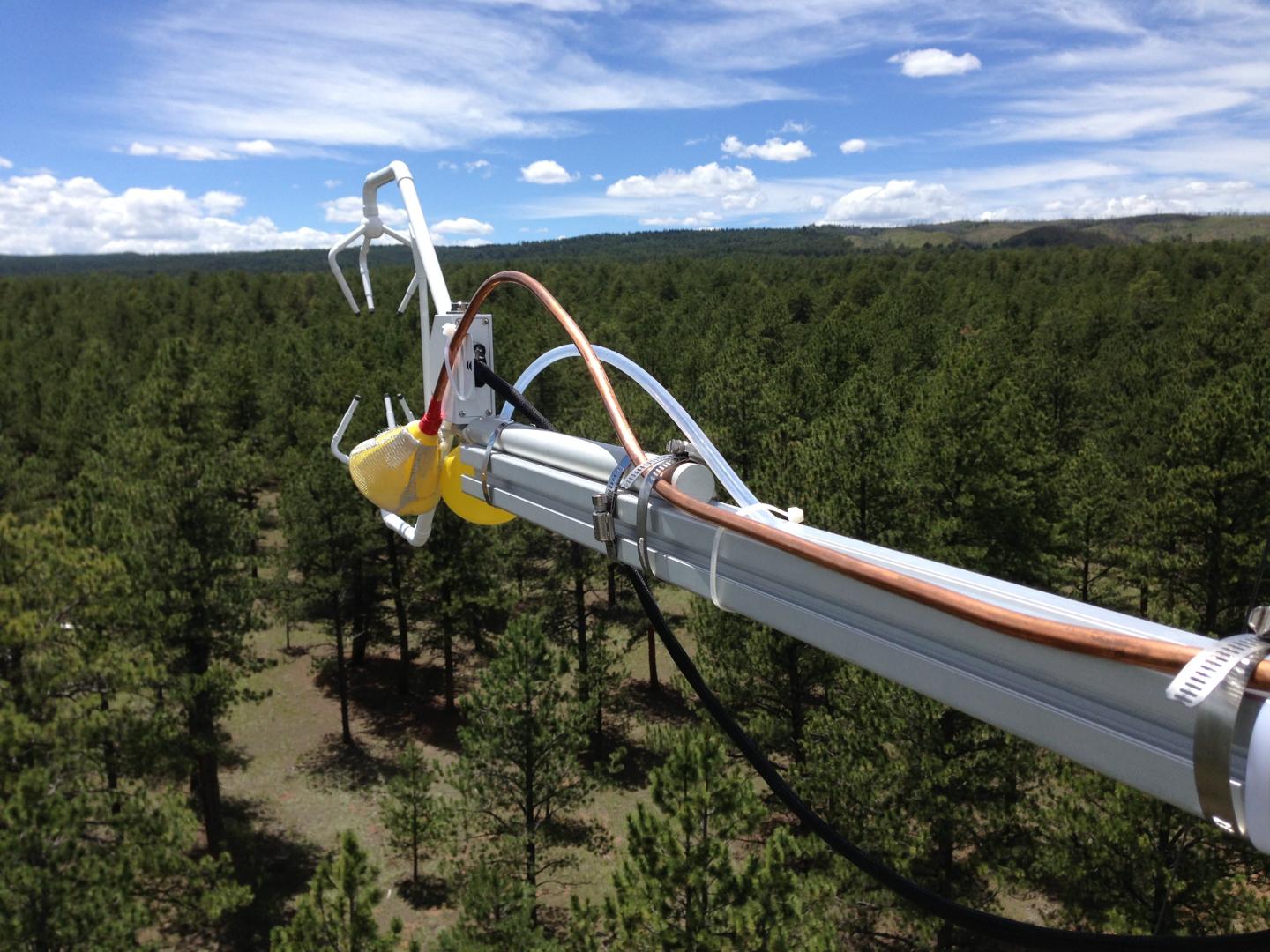 Detecting aerosol dry deposition over a forest