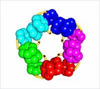 Animated View of the Folded Molecule
