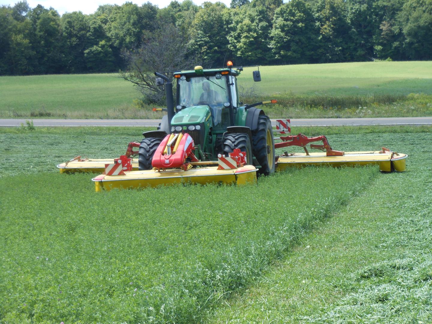 Mowing Alfalfa