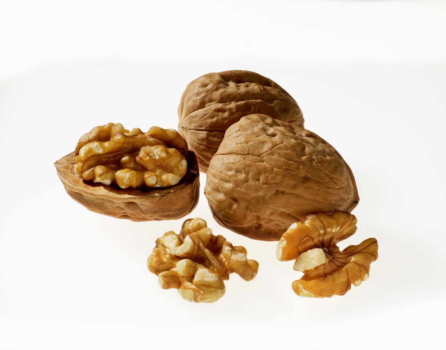 Walnuts Linked to Healthy Aging and Gut Health in New Research