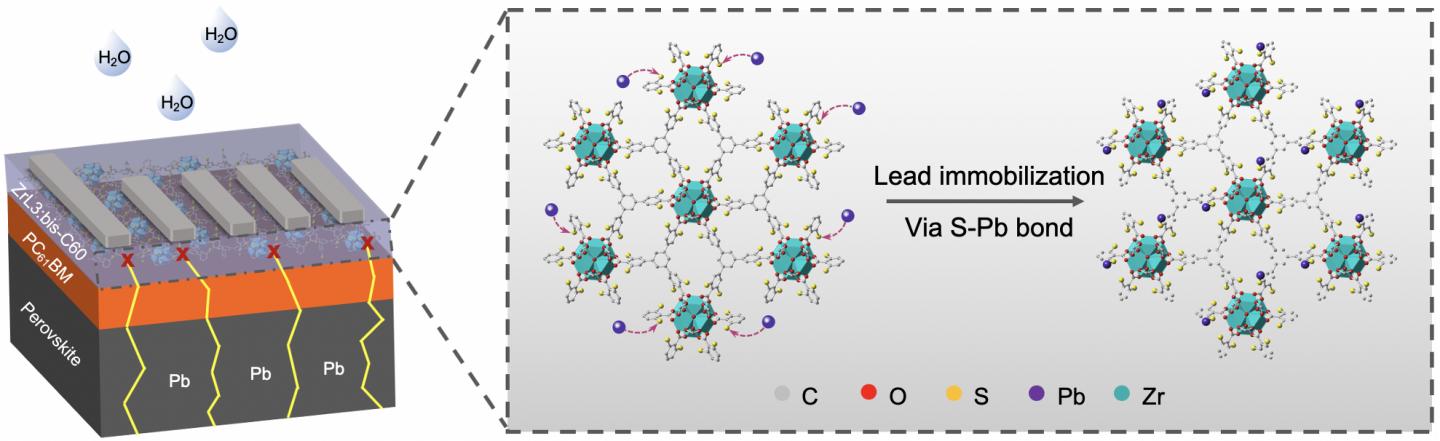 Lead Ions Captured in the MOF layer