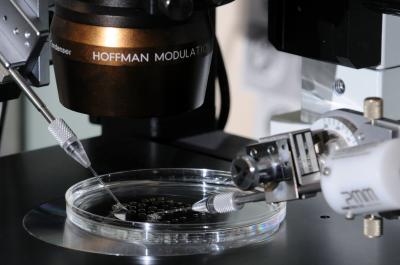 Micromanipulation Petri Dish