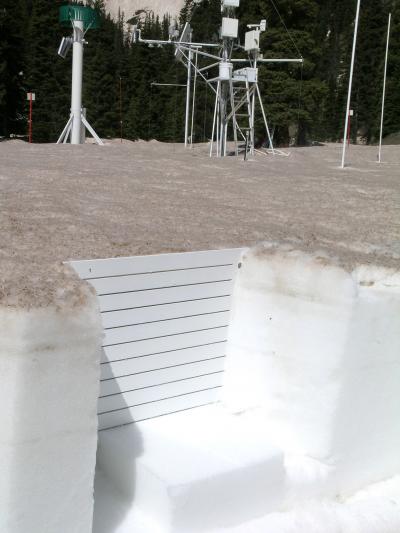 Twelve Dust Layers in a Study Plot