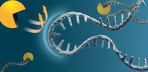 Don’t kill the messenger RNA!