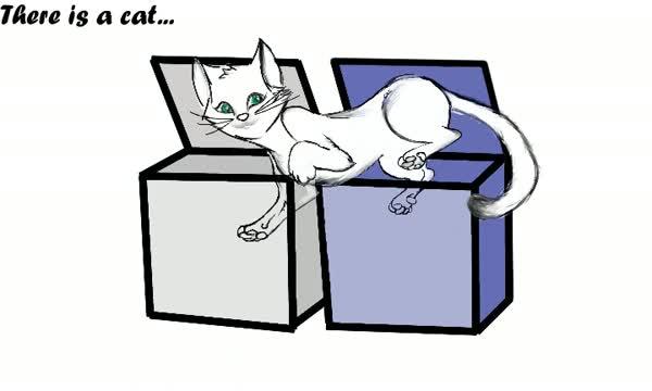 Schr&ouml;dinger's Cat Is Alive and Dead in Two Places at Once