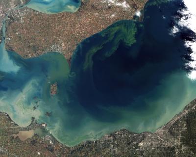 2011 Lake Eerie Algal Bloom