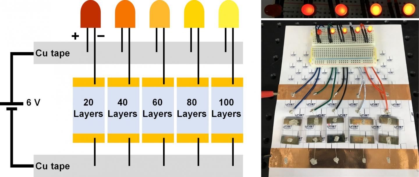 Figure 3: Nanowalls Covered with Silver and Embedded in Transparent Nanoelectrodes