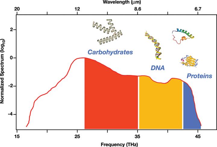 Emission Spectrum of the Laser and Molecular Fingerprint Regions