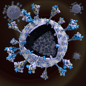 A full-atom model of the SARS-CoV-2 envelope