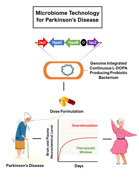 Microbiome-based therapeutic for Parkinson’s Disease