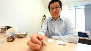 Ling Li leads team to see through eyes made of stone