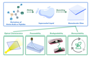 Schematic diagram of the construction of biomolecular glass and its unique properties