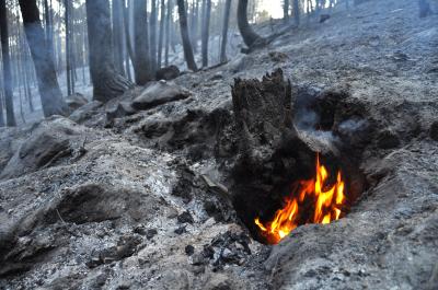 Fire This Summer Tietar Valley