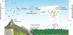 Life cycle of isoprene-derived oxidized organic molecules and their role in new particle formation over the tropical free troposphere