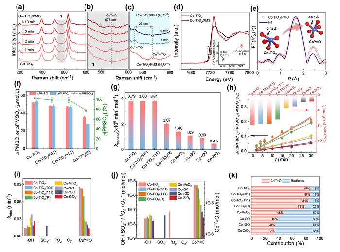 Fig. 3 Identification of reactive species and their roles in Co-SACs/PMS systems. (a-c) In-situ Raman observed CoIV=O. (d-e) In-situ Co K-edge XAS characterization of the generation and structure of CoIV=O. (f-k) Identification of the major reactive speci