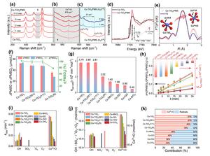 Fig. 3 Identification of reactive species and their roles in Co-SACs/PMS systems. (a-c) In-situ Raman observed CoIV=O. (d-e) In-situ Co K-edge XAS characterization of the generation and structure of CoIV=O. (f-k) Identification of the major reactive speci