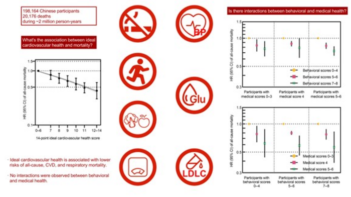 A Chinese Medical Journal article shows that ideal cardiovascular health leads to lower mortality