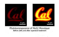 Monolayer Cal Logo