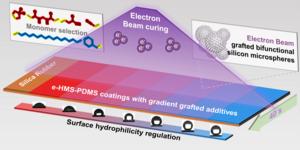 e-HMS-PDMS coating method