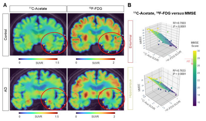 Figure 3 Image Eurekalert Science News Releases 4031