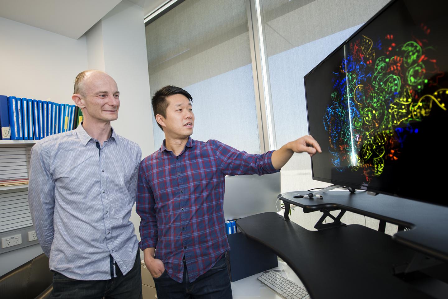 Malaria Researchers Dr. Brad Sleebs and Dr. Wilson Wong