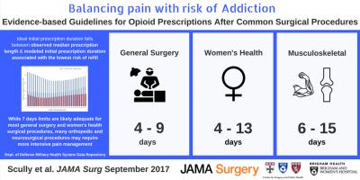 Balancing Pain with Risk of Addiction