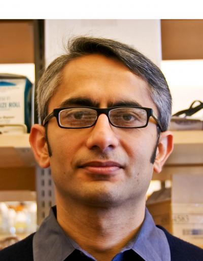 Nirao M. Shah, M.D., Ph.D., University of California - San Francisco