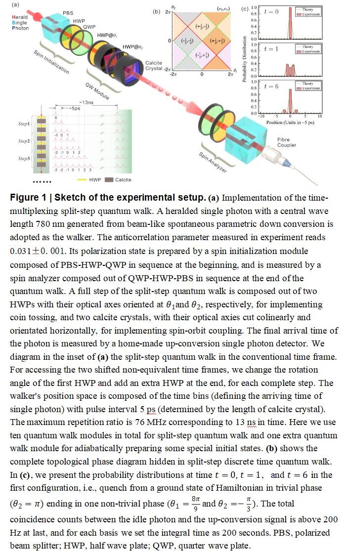 Sketch of the Experimental Setup