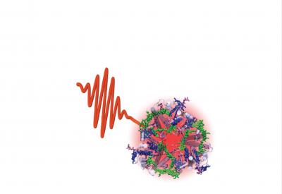 Photosynthetic Antenna