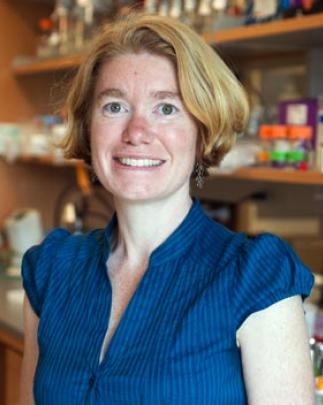 Amy Gladfelter, Dartmouth College