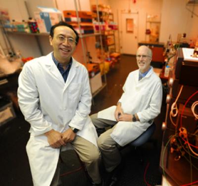 Drs. Shuyi Li and William S. Dynan, 	Georgia Health Sciences University 