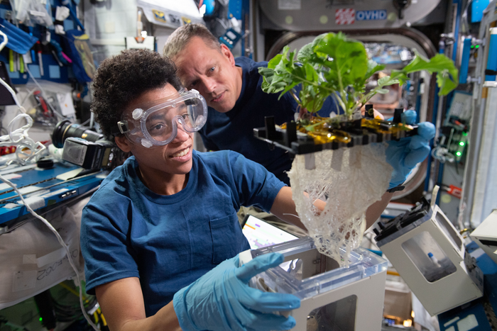 NASA astronauts Jessica Watkins and Bob Hines work on XROOTS