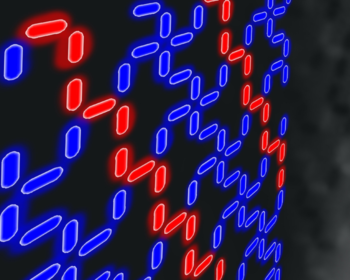 Interactions between alternating layers of exotic, 2D material create 'entropy-driven order' in a structured system of magnets at equilibrium