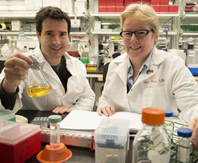 Carlos Cruchaga and Alison Goate, Washington University School of Medicine