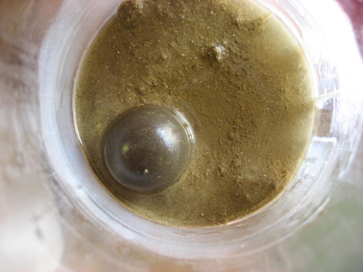 Sediment Sample