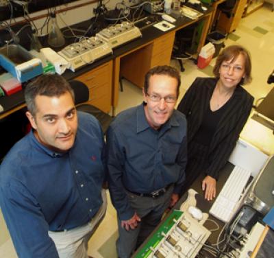 Drs. Allahdadi, Webb and Tostes, Medical College of Georgia