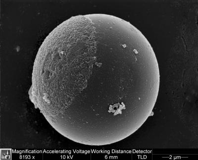 Dot-Janus Particle (2 of 2)