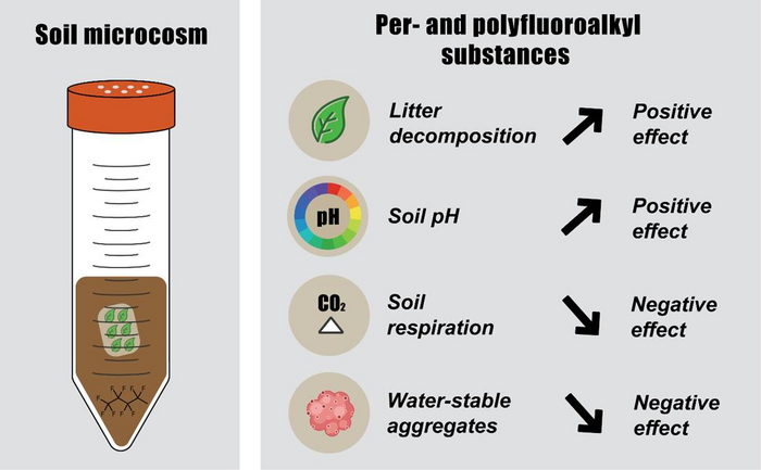 Forever Chemicals: Per- And Polyfluoroalkyl Substances (PFAS