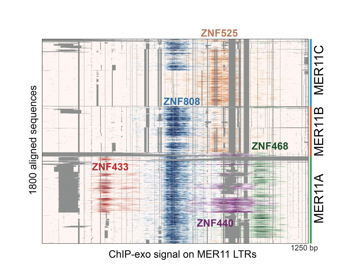 An Example of the Gene Sequencing Data from This Study