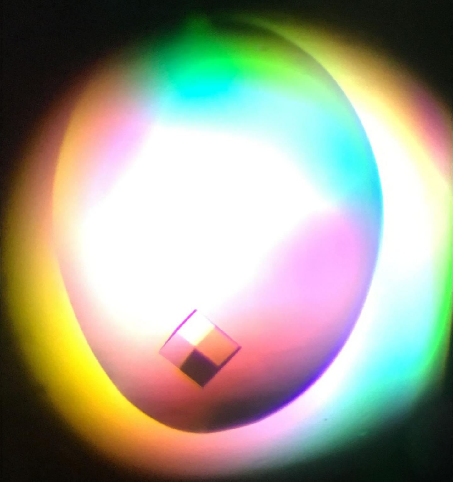 NagA Protein Crystals