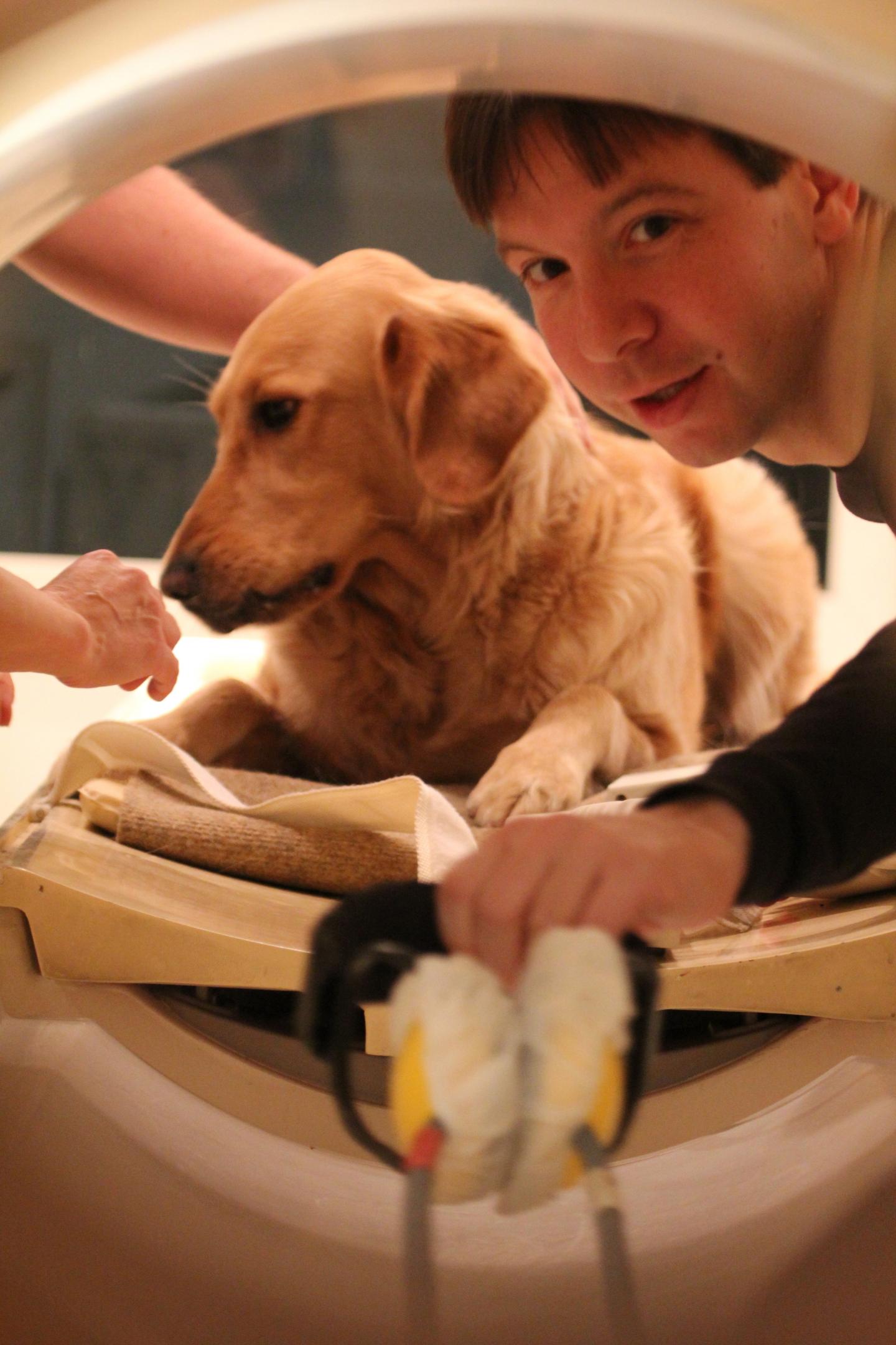 Dogs Understand Both Vocabular [IMAGE] EurekAlert! Science News Releases