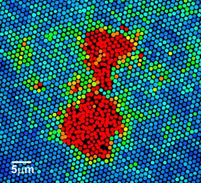 A Close Look at Melting Crystals (1 of 4)