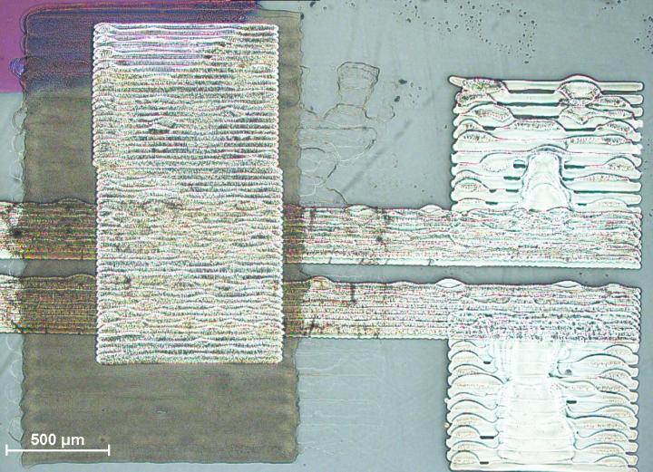 Optical Microscopy Image