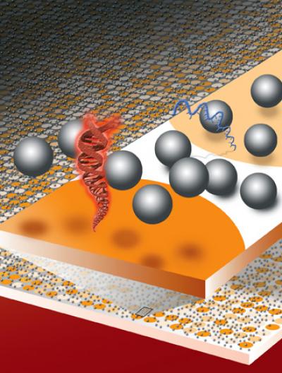 Robles Image for Nature Biotech