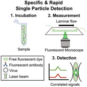 Specific & Rapid Single Particle Detection