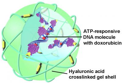 Nanoparticles Deliver Drugs Directly Into Cancer Cells